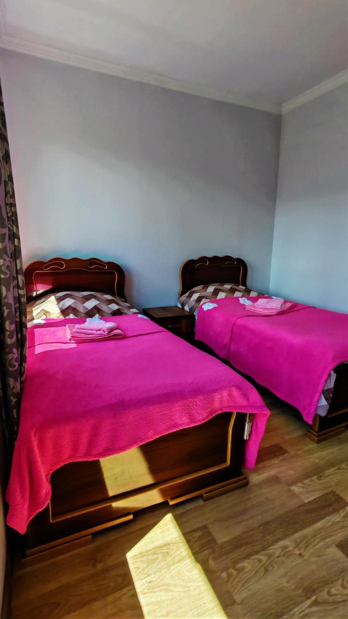 Gujejiani Guest House メスティア エクステリア 写真