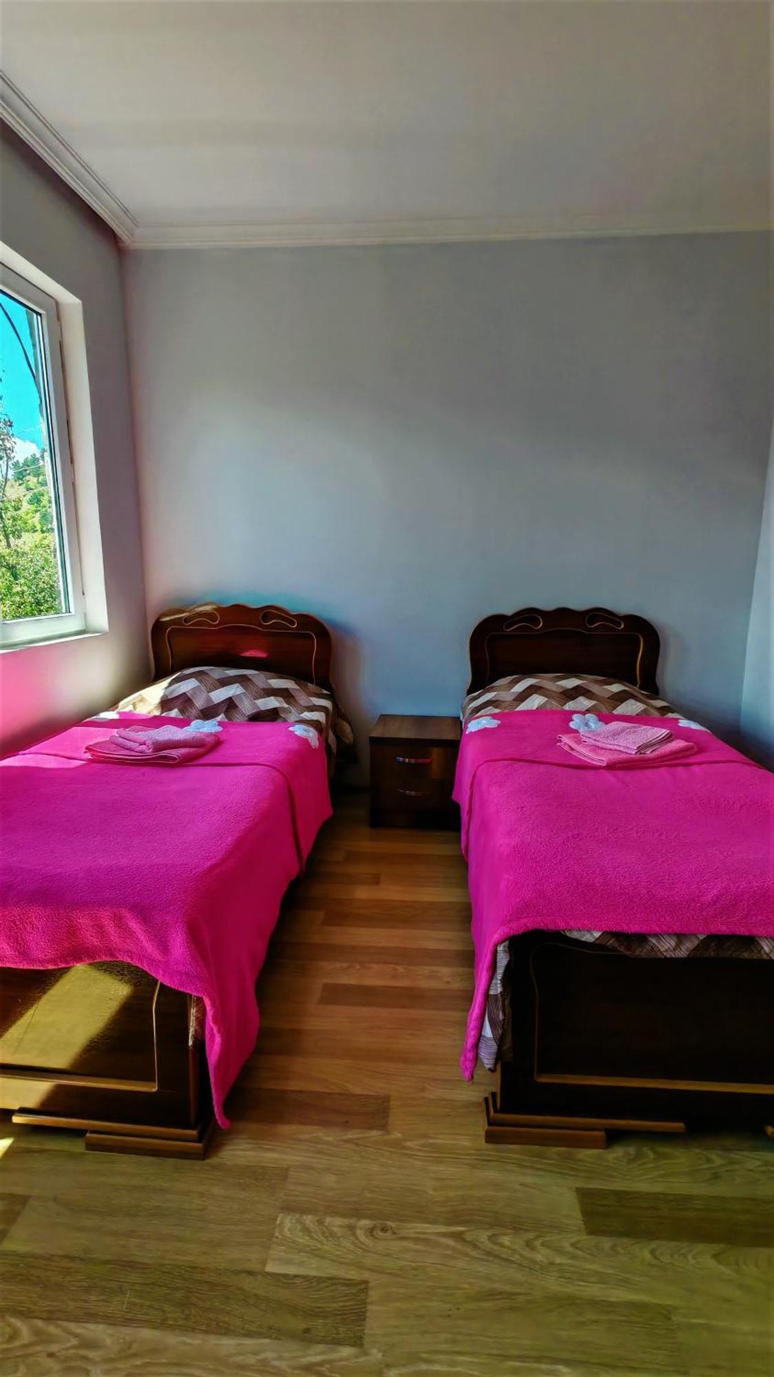 Gujejiani Guest House メスティア エクステリア 写真