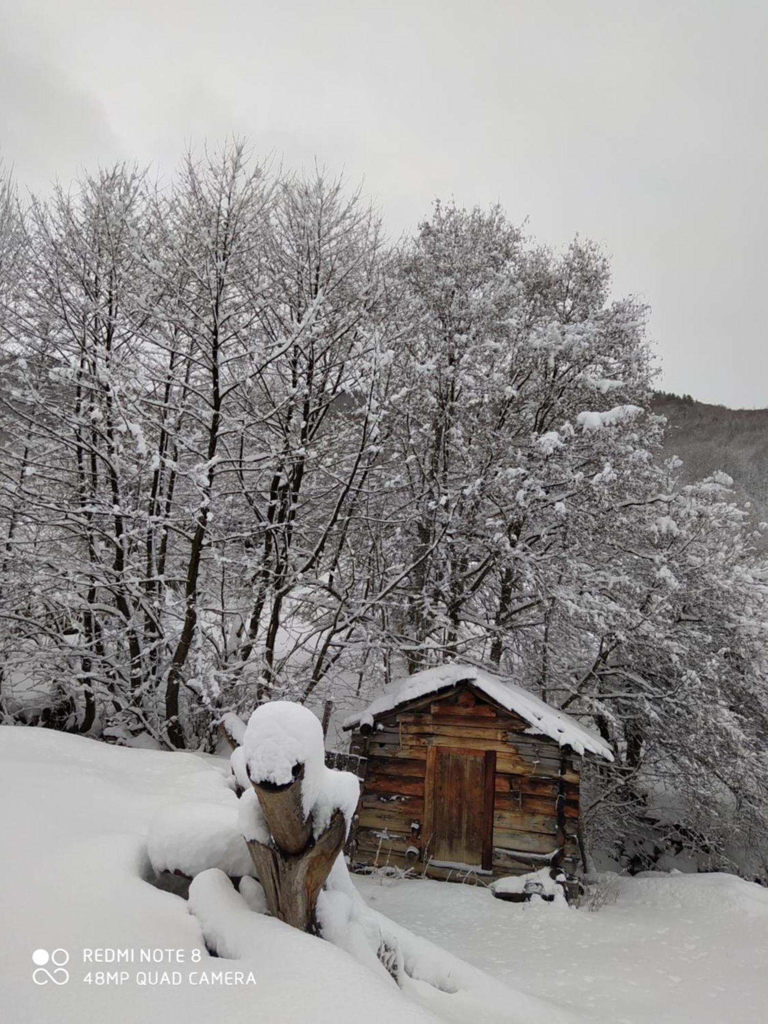 Gujejiani Guest House メスティア エクステリア 写真